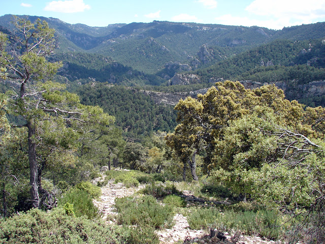 Senderismo - Argaret - Coscollosa - Gubies Capatx - Pas de Romeret - Parrisal