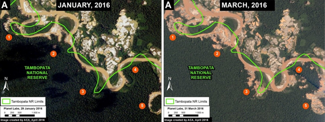 Gold mining activity led to more forest clearing in Peru in the first few months of 2016. Data from Planet Labs, SERNANP. Photo: MAAP