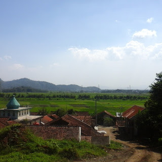 sawah di Gunung Urug-Situwangi