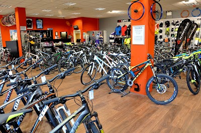 Bicycle Store