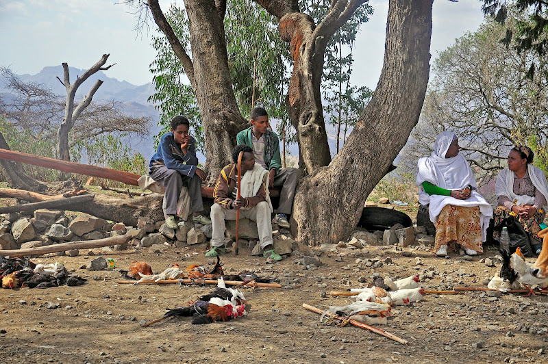 ETIOPIA NORTE: ABISINIA. IGLESIAS RUPESTRES. NILO. CIUDADES IMPERIALES - Blogs de Etiopia - DEBARQ-LALIBELA  (461 KMS) (6)