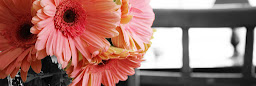 Profile cover photo