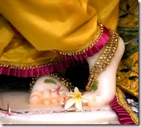 [Krishna's lotus feet]