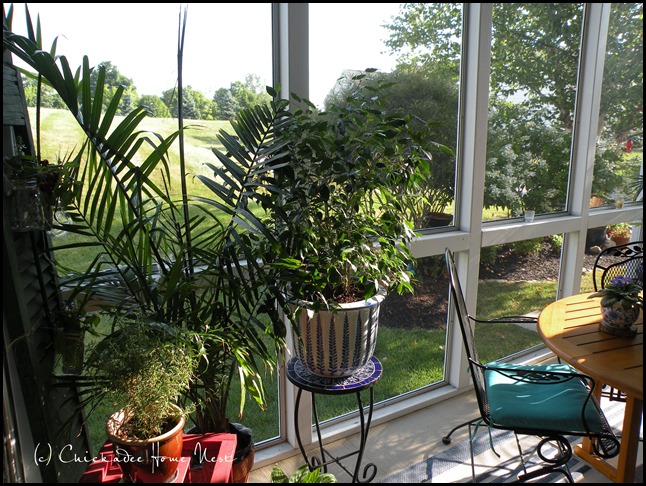 Screened Porch, Chickadee Home Nest