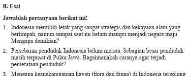 Seorang ibu biasanya pergi belanja ke pasar a