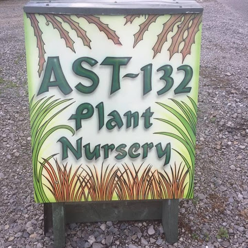 AST~132 logo