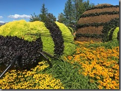 Closeup of bee and hive How'd you like to maintain this planting