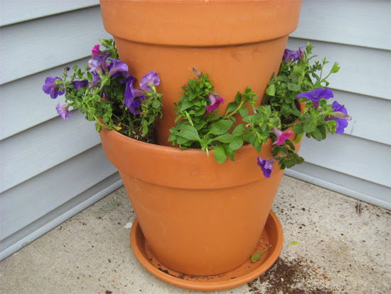 Columna de macetas y flores.