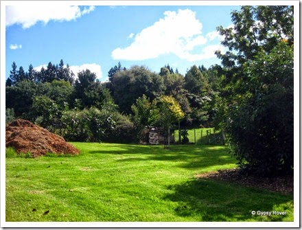 Lovely setting amongst the avocado trees