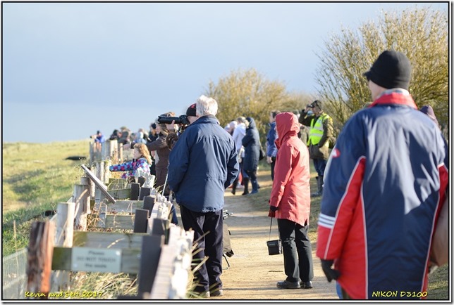 Donna Nook - November