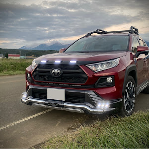 RAV4 MXAA54