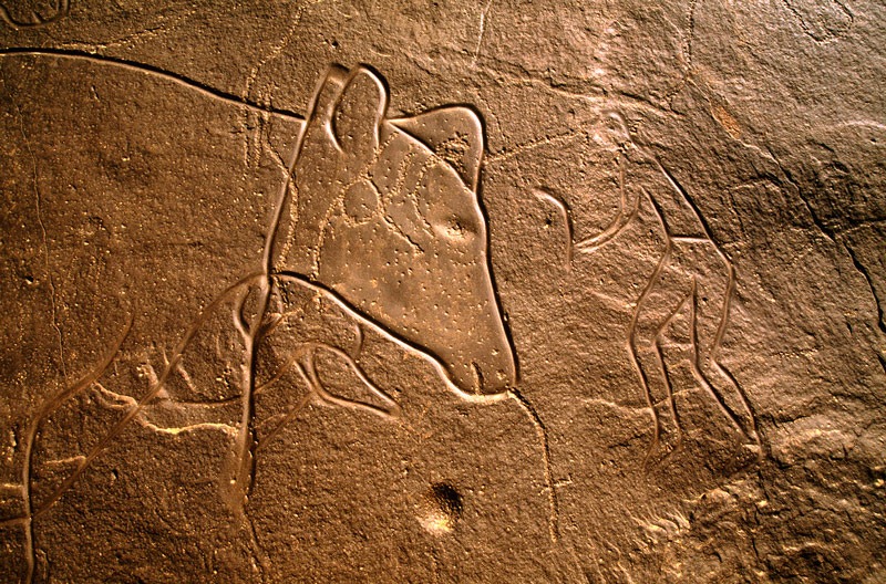 tassili-n-ajjer-rock-art-13