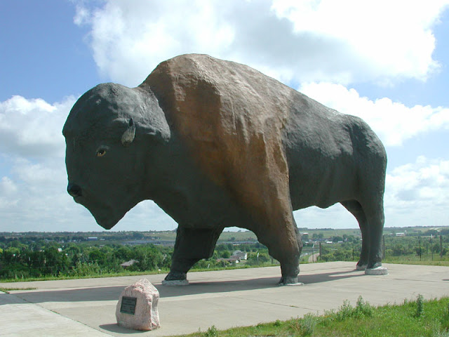 The World's Largest Buffalo, Dakota Thunder