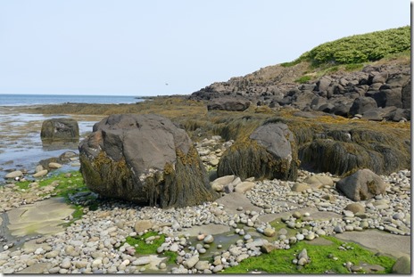 ca_parkers_cove_digby_neck_bck