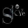 Skyye, UB City Mall, MG Road, Bangalore logo