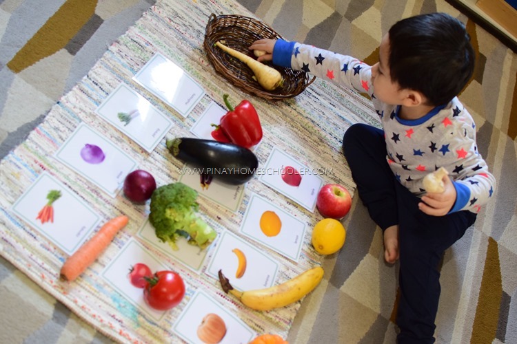 Montessori Vegetable Cards