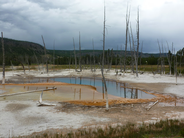 Valle Hayden. Mud Vulcano y Sulphur Caldron. Black Sand Basin.  13 de Julio. - LAS ROCOSAS DE CANADA. YELLOWSTONE Y GRAND TETON. (46)