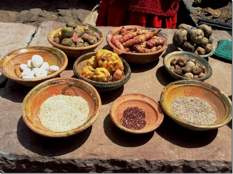 Comidas tipicas do peruano