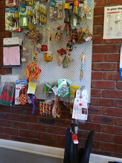 Photos of Bird Vet Melbourne