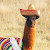 Llama Sombrero