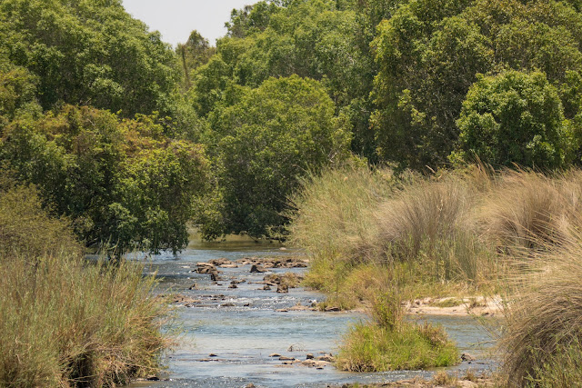 Botswana et Zimbabwe en octobre BotsZim_Oct2015_291