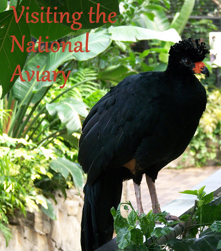 Visiting the National Aviary, Pittsburgh, Pennsylvania