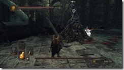 DarkSoulsII 2017-01-16 20-49-39-42