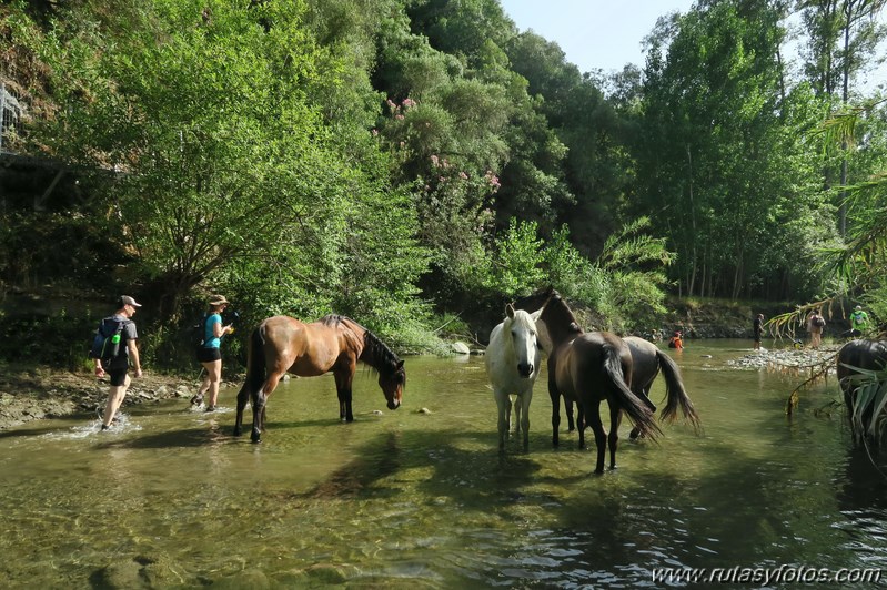 Circular río Genal