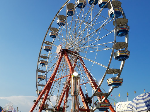 Fairground «Conservatory at the Sussex County Fairgrounds», reviews and photos, 37 Plains Rd, Augusta, NJ 07822, USA