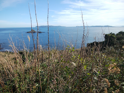 DSC_0304.jpg