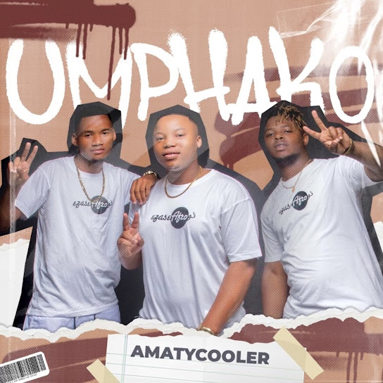 AmaTyCooler – Ingonyama