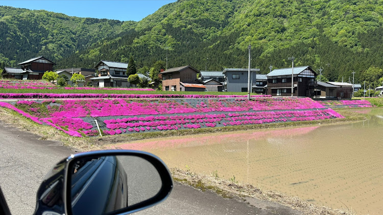 の投稿画像2枚目