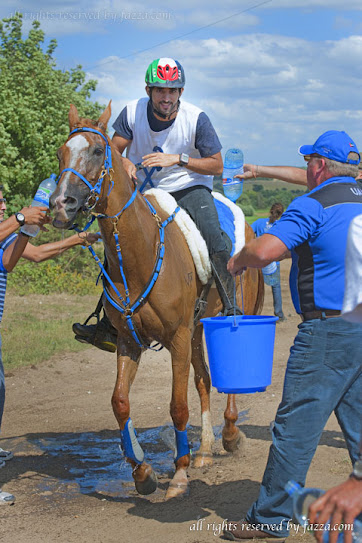 صور منوعة للسمو الشيخ / محمد بن راشد ال مكتوم والشيخ حمدان بن راشد ال مكتوم  EnduranceHorseRacing155