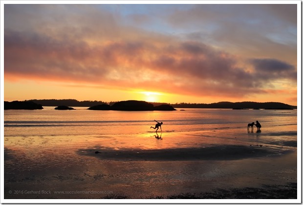 160902_Tofino_MacKenzieBeach_0057