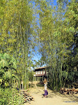 Kyauk Taung, Inle Lake  [2013]