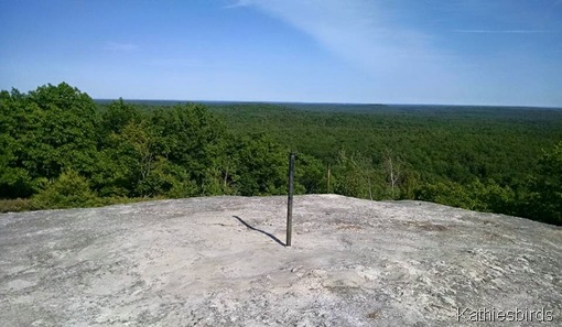 9. Bradbury Mountain Summit 6-14-15