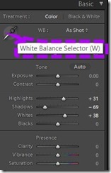 Example of White Balance eye dropper in Lightroom