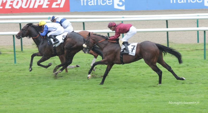 Photos Chantilly 12-07-2015 IMG_2899