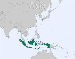 Indonesia location map