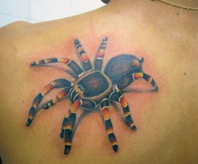 Spider Tattoos