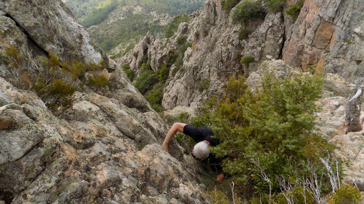 ...une escalade malcommode dans des fissures-cheminées encombrées de végétation