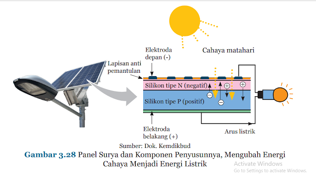 Lapisan pelindung pada daun tumbuhan yang