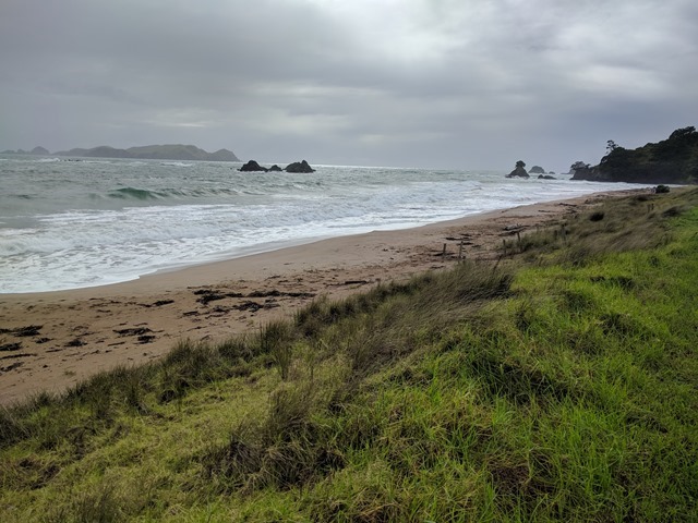 P03_NZ NI Tauranga Bay_2018-06-03_Jen_IMG_20180604_113445