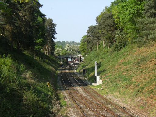 DSCF7493 Groombridge Station