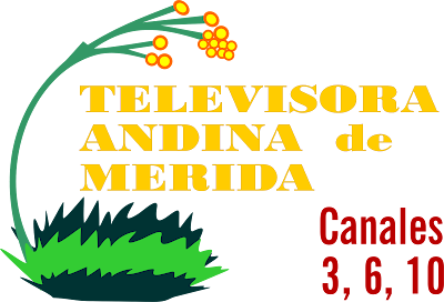 logo%2520de%2520TAM%25201990-1995.png