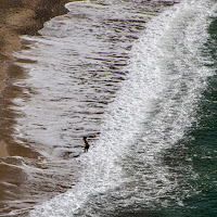 la striscia di mare di L_D