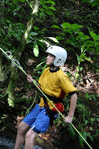 Kulps in the Rainforest