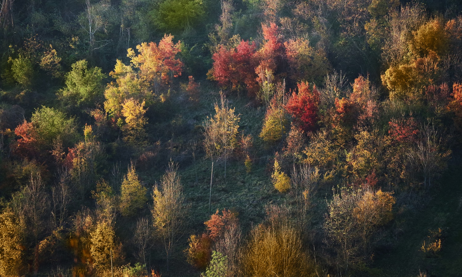 Scorcio d'autunno di MauroV