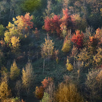 Scorcio d'autunno di 