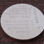  in Leiden, Netherlands 